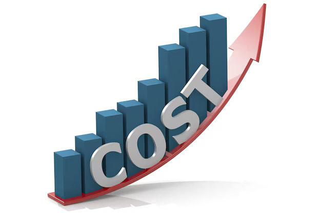 Cost Details for Leap N Link Ltd